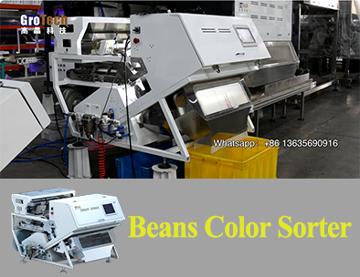 [Beans Color Sorter]How to quickly sort similar beans？
