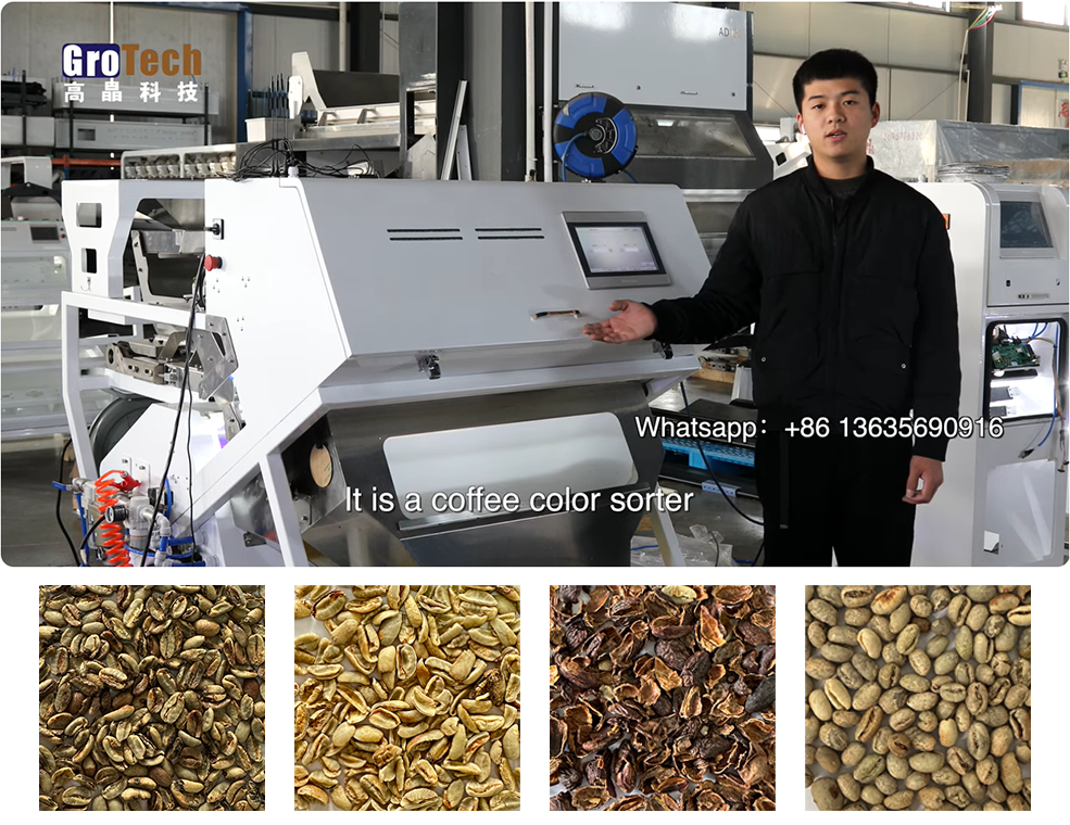 Coffee Bean Color Sorter：two steps pick the perfect coffee beans